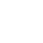 BETFLIX EVOLUTION LOGO